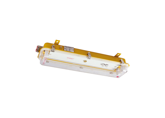 HAIXING Ex LED 2ft Light Fixture 2*10W LED Tube 100-240V 50/60HZ IP66 Ex nR IIC T6 Gc