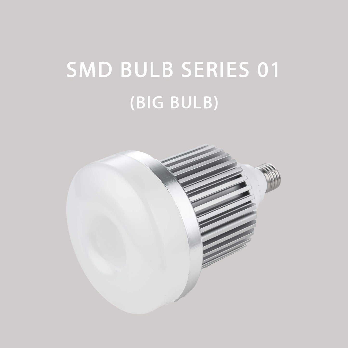 BK B1Y30ENY01 30W IP20 E27 Light Bulbs