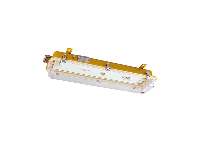 HAIXING Ex LED Light Fixture 2ft 2x10W IP66 100-240V