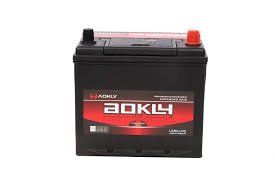 AOKLY Maintenance Battery โ 800CCA