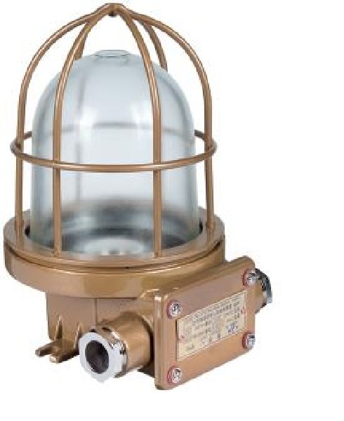 HAIXING Brass IP66 Pendant Light-220V 60W IP66 Without Bulb