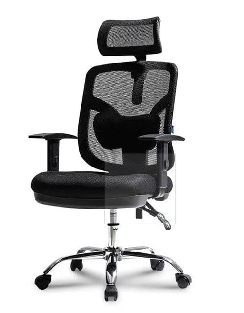 Executive Office Chair Ver.2 | Model: 101160