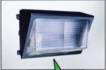 OEM Dolma DOL Weatherproof IP65 Die-cast Aluminium Security Light with Hinged Borosilicate Glass Prismatic Lens c/w 1x30W LED lamp