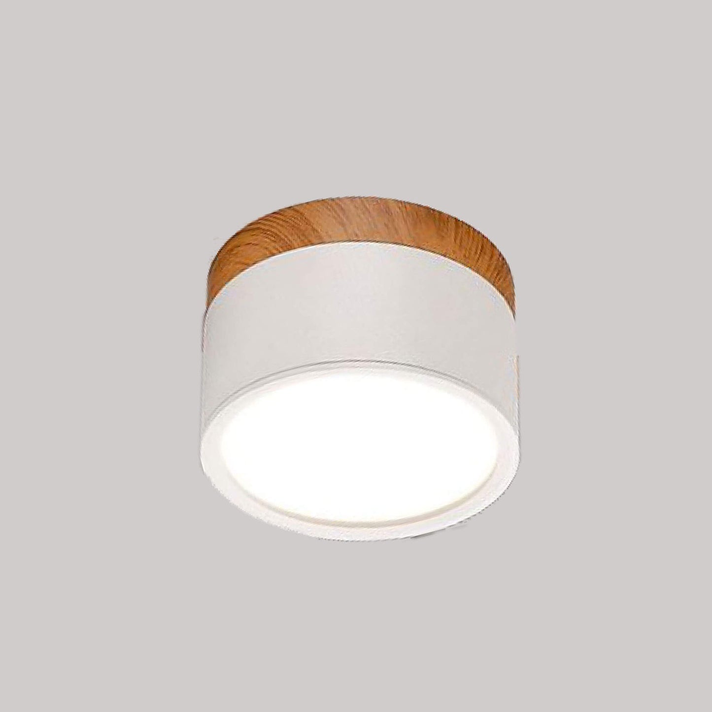 BK IP20 15W 100-300V Round Ceiling Light Series-32