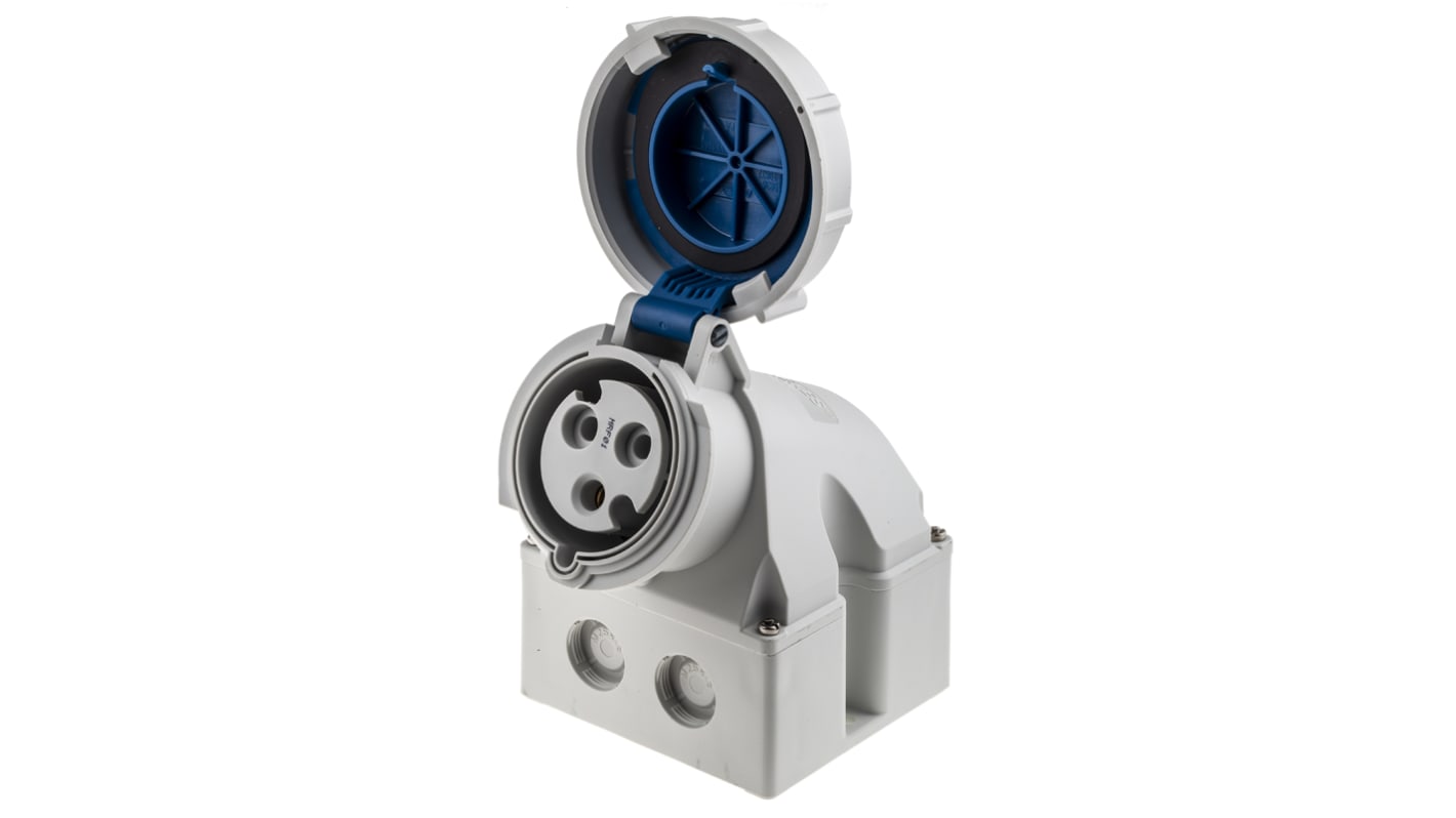 MENNEKES #9351 WMS 32A/3P/230V/6H IP67 Wall Mounted Receptacle