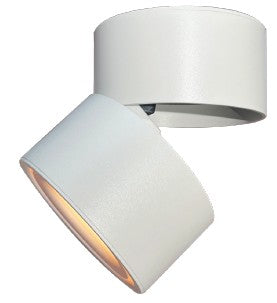 BK IP20 100-300V Adjustable Surface Mounted Downlight-15