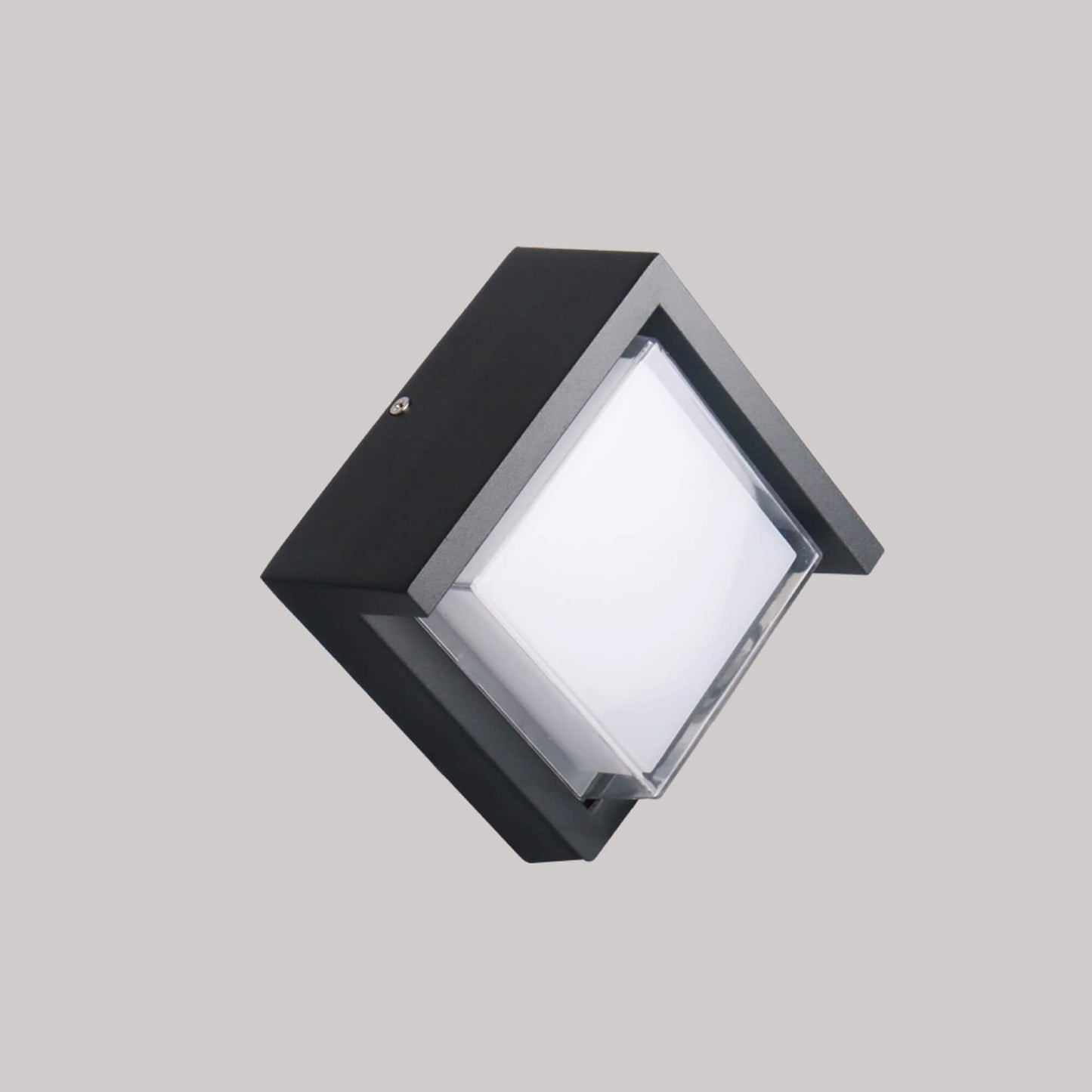 BK IP65 100-277V Clear Black Outdoor Wall light