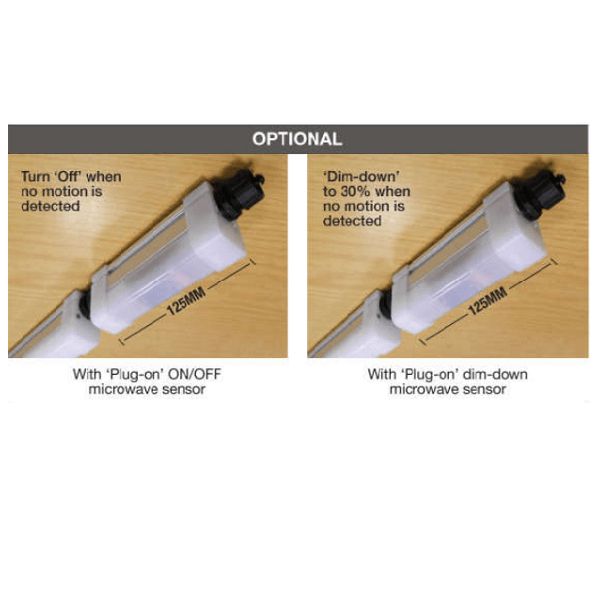 C7 Fixture Aerolite Compact-Slim IP65 fixture