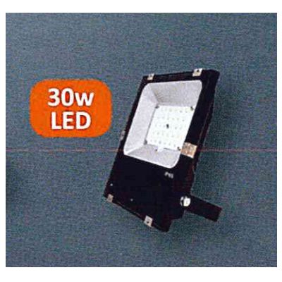 C7 Fixture SKY-FLOOD Slim Designed IP65 Led Floodlight 30W 6500K