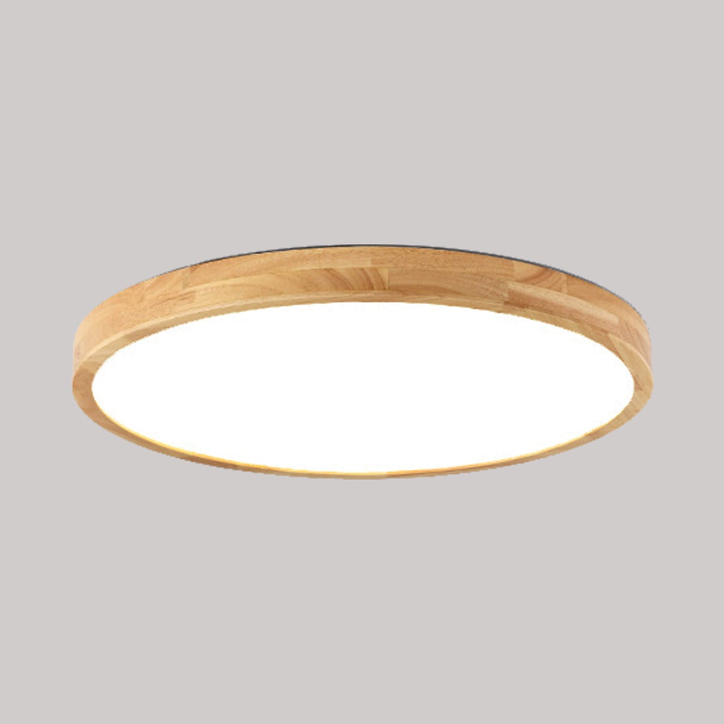 BK Frosted Casing for Ceiling Light Without Bulb