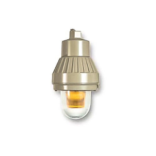 TOMAR 3150BEP-PM-R WITH GUARD RED Color Explosion Proof Warning Lights 12-74 VDC Pendant mount 3/4 HUBS