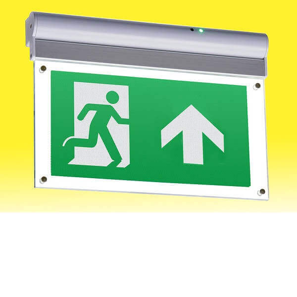 STAHL Explosion Proof Recessed Exit Led Light-Fixture-DELIGHT OptoElectronics Pte. Ltd