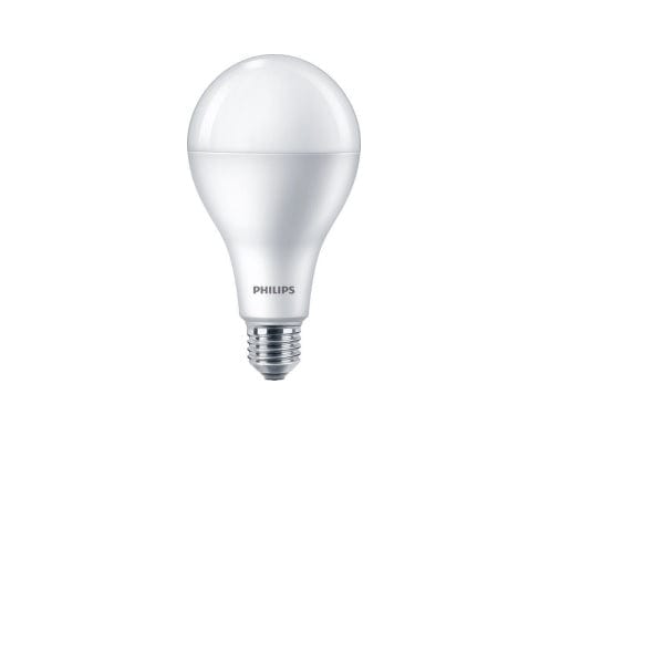 Philips 19W E27 6500K A80 1CT/12 CN ESS LEDBulb - DELIGHT OptoElectronics Pte. Ltd