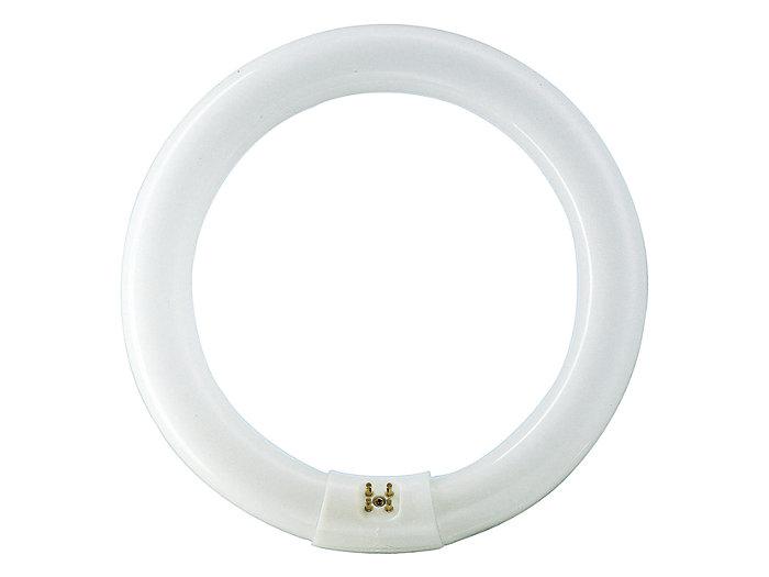 PHILIPS Lifemax TLE Standard Circular T8 Tube x20PCs - DELIGHT OptoElectronics Pte. Ltd