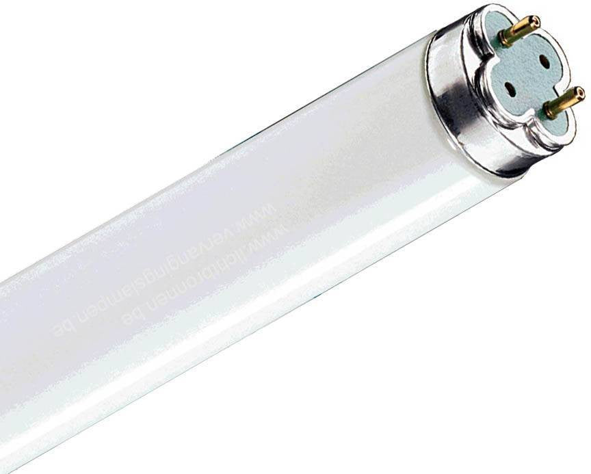 PHILIPS MASTER TL-D Xtreme FLUORESCENT T8 TUBE x25Pcs - DELIGHT OptoElectronics Pte. Ltd