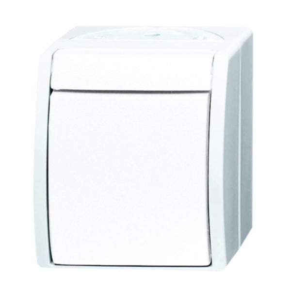 R1 Electrical Supplies Busch Jaeger 1 Way, 1 Gang 10A Surface Mount Push Button Light Switch IP44