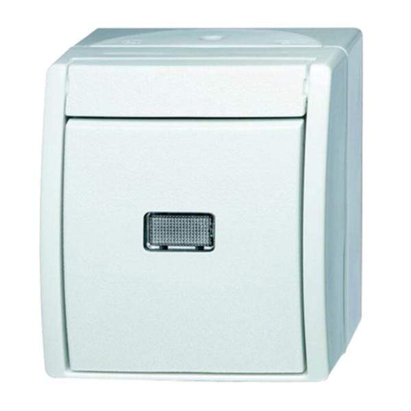 R1 Electrical Supplies Busch Jaeger 1 Way, 1 Gang 10A Surface Mount Push Button Light Switch IP44