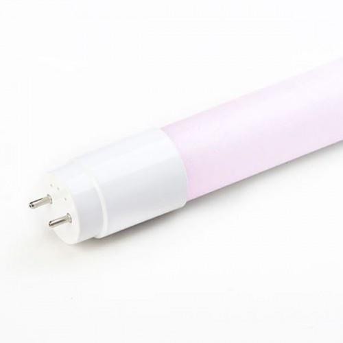 LED tube light for sale in Singapore at Delight