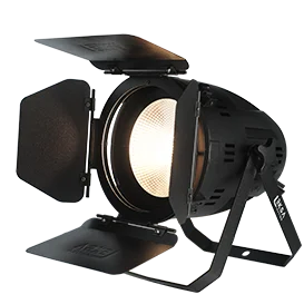 LEKSA LED IP20 LEKSUN COB PAR Light