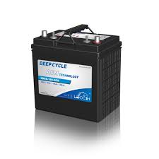 LEOCH MF/AGM LDC8-180-GC8 (8V 875) Battery