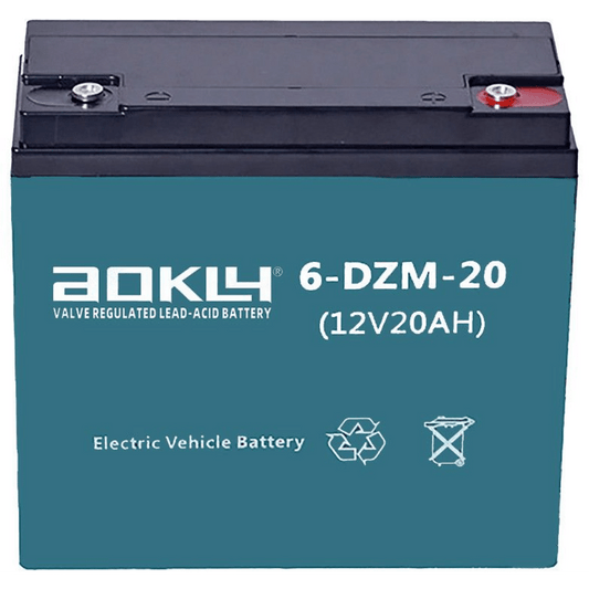 Aokly 6-DZM-20 12V 20Ah Electric AGM Battery