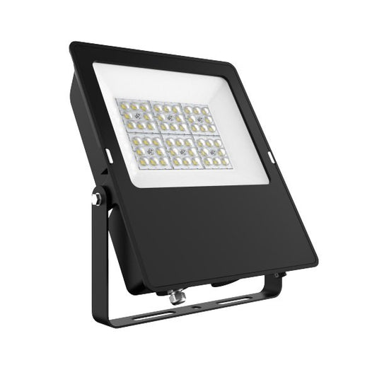 Delight Champion G2 100W Flood Light 3000K