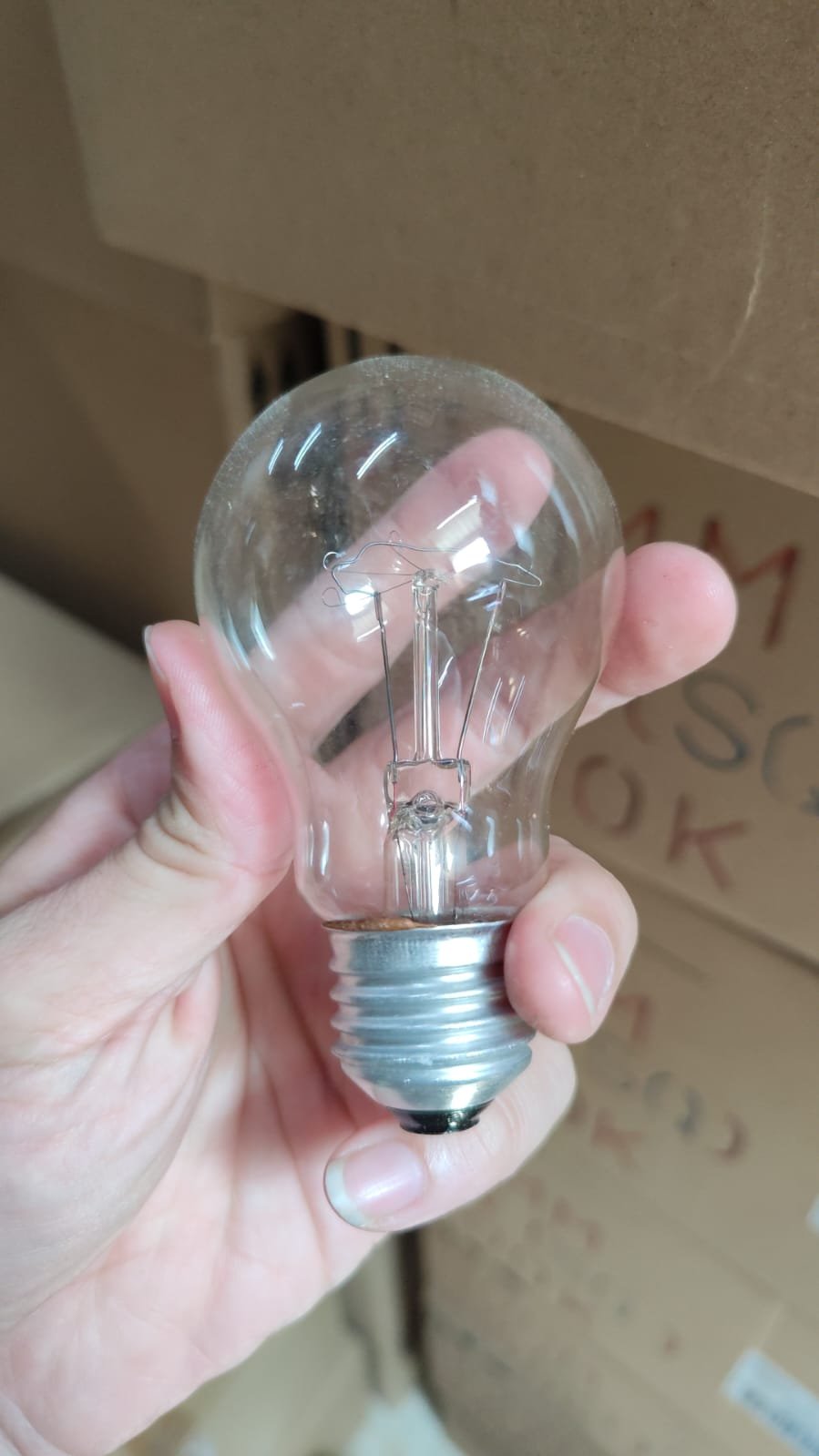 Delight A55 60w clear E27 bulb