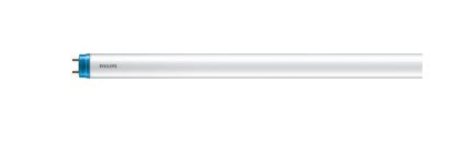Adam-Lite ALM242 Recessed Fitting (600mmx1200mm) with Cross Blade Mirr ...