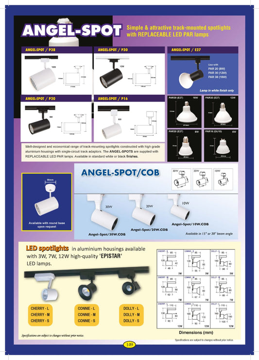Angel-Spot//P30 LED 12W PAR30 3000K Black spotlight single circuit c/w lamp and surface base mounting