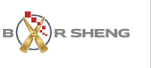 BOR SHENG