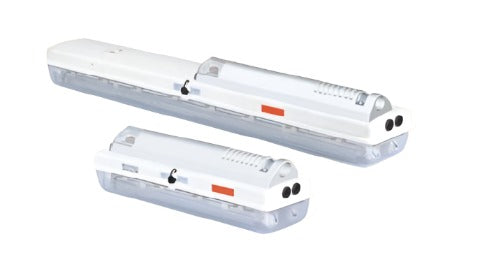 CZ Eite CZ0866 LED 2 X 30W YJ / FK B + D 621 / 304 SUPPLIED WITH STAINLESS STEEL CEILING BRACKETS