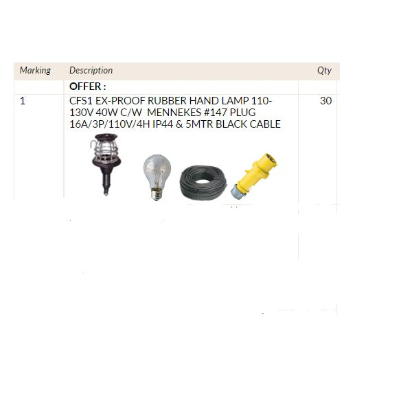 CFS1 EX-PROOF RUBBER INCANDESCENT HAND LAMP 110-130V 40W C/W & 5MTR BLACK CABLE-Fixture-DELIGHT OptoElectronics Pte. Ltd