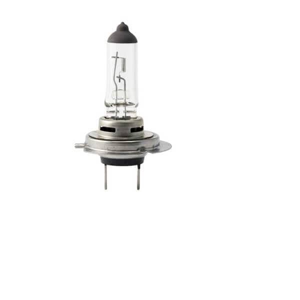 ST Halogen Bulb H7 12V 100W-Fixture-DELIGHT OptoElectronics Pte. Ltd