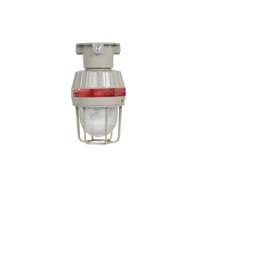 KILLARK LED EXPROOF FIXTURE, CL1 DIV1&2 GRP CD, 45W 120-277VAC 50/60HZ, GLOBE, GUARD & CEILING 3/4"-Fixture-DELIGHT OptoElectronics Pte. Ltd