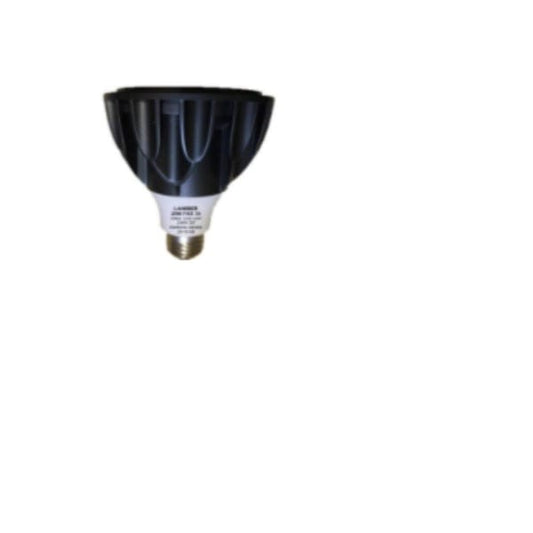 LANIBER (20W) Cree COB Led PAR30 Bulb-LED Bulb-DELIGHT OptoElectronics Pte. Ltd