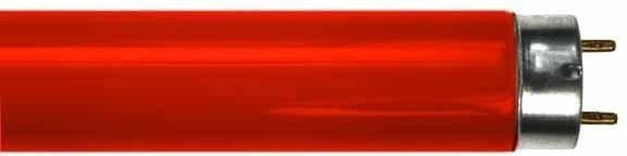 E5 Light Bulb 18W / RED Osram Fluorescent Colored T8 Tube (Blue ,Red, Green))