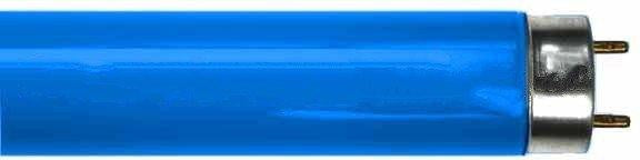 E5 Light Bulb 36W / BLUE Osram Fluorescent Colored T8 Tube (Blue ,Red, Green))