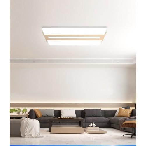 E6 Home Decore Dalen 2Z Plus Smart Ceiling Light
