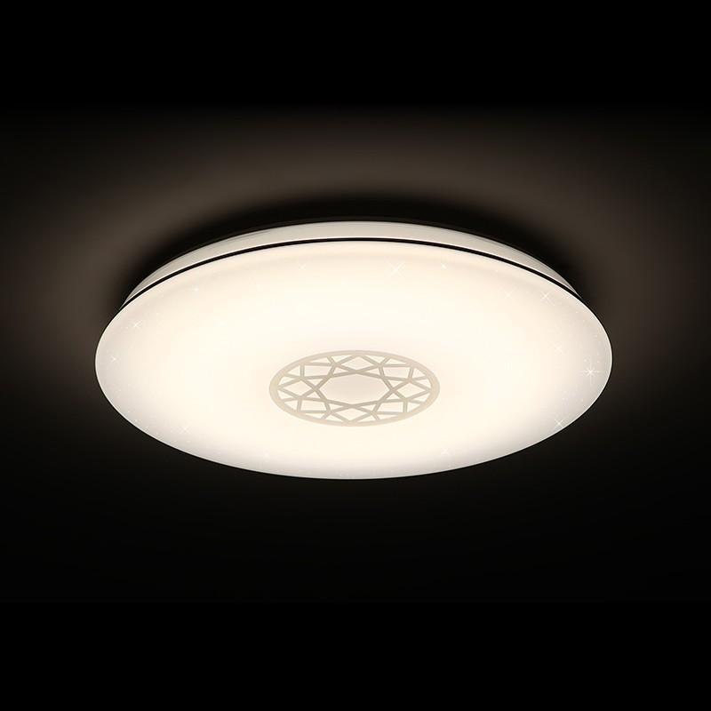 L6 Home Decore DALEN 21Inch Smart RC round Ceiling Light
