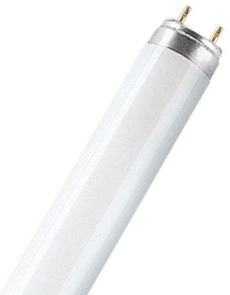 LEDVANCE Light Bulb 18W / 3000K Osram Fluorescent XT T8 Tube x 25 pcs