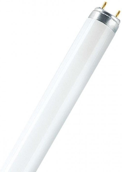 LEDVANCE Light Bulb 36W / 3000K Osram Fluorescent XXT T8 Tube x 25PCs
