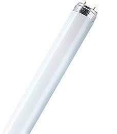 OsramL 36W/21-840 (PRC) G13 Fluorescent Lamp| Delight.com.sg - DELIGHT OptoElectronics Pte. Ltd
