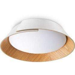 PHILIPS 36787 Anemones Tunable Silver LED Ceiling Light - DELIGHT OptoElectronics Pte. Ltd