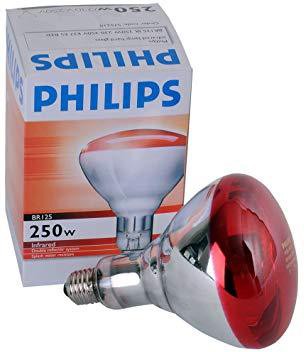 PHILIPS BR125 IR 250W E27 Bulb x2PCs - DELIGHT OptoElectronics Pte. Ltd