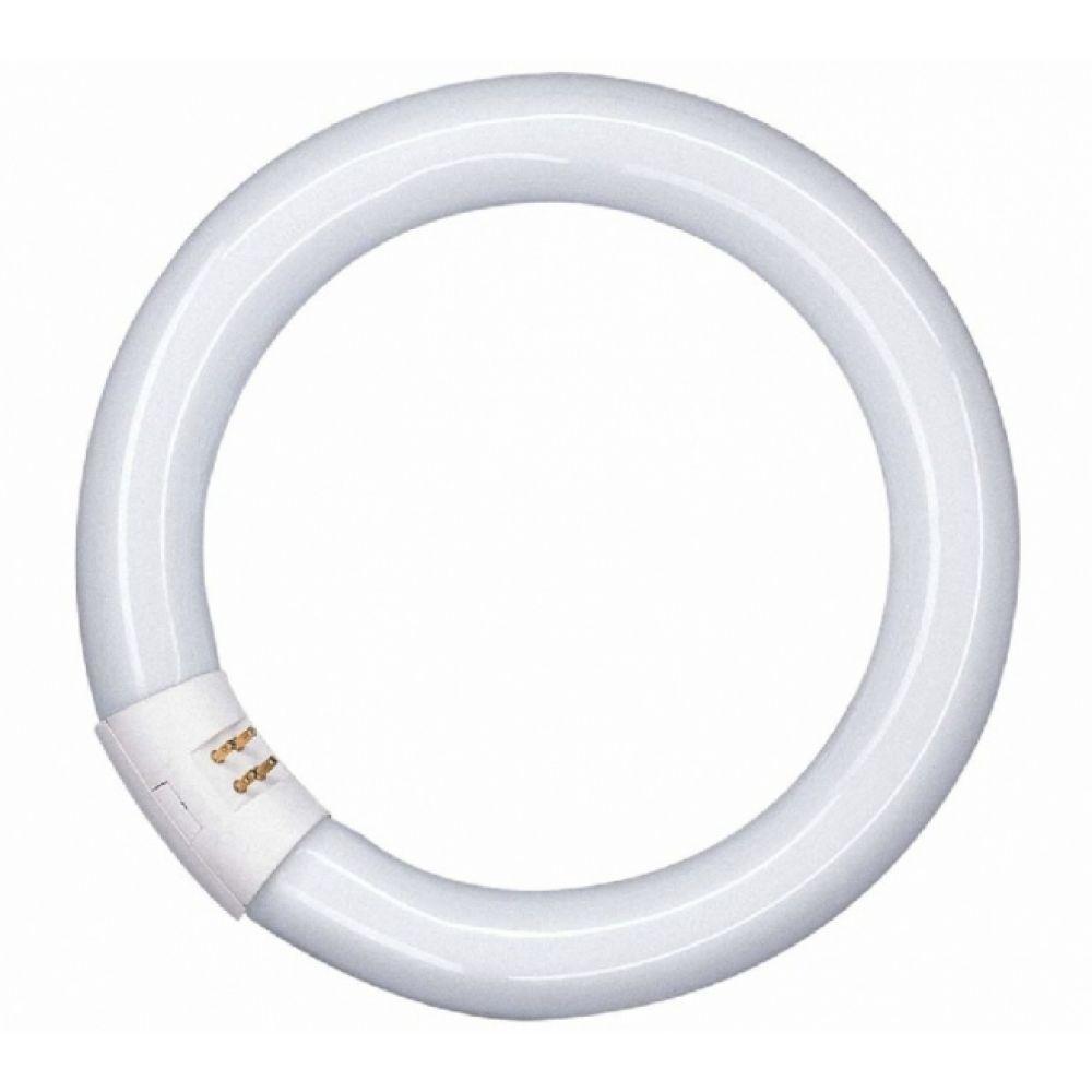 PHILIPS Lifemax TLE Super Circular T8 Tube x20PCs - DELIGHT OptoElectronics Pte. Ltd