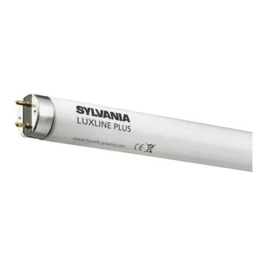 R1 Light Bulb Sylvania T5 Fluorescent Tube G5, 4000K, Cool White - Pack Of 25