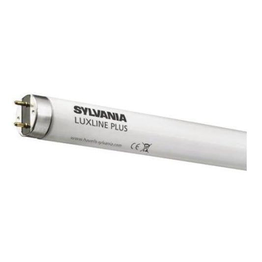 R1 Light Bulb Sylvania T8 Luxline Plus Fluorescent Tube G13, Cool White - Pack Of 25