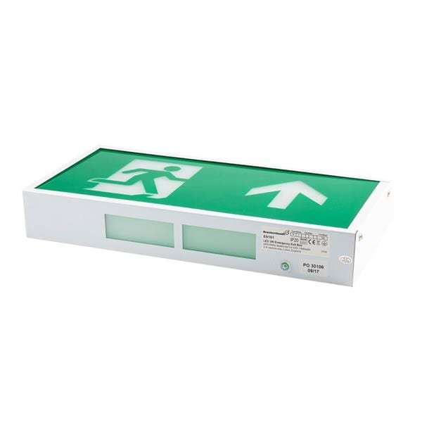 RS Pro 3W LED Bulkhead Emergency Lighting IP20 x2Pcs - DELIGHT OptoElectronics Pte. Ltd