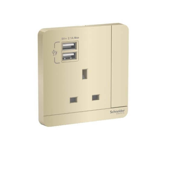 Schneider AvatarOn, 3P, 13A, 2 USB charger + switched socket - DELIGHT OptoElectronics Pte. Ltd