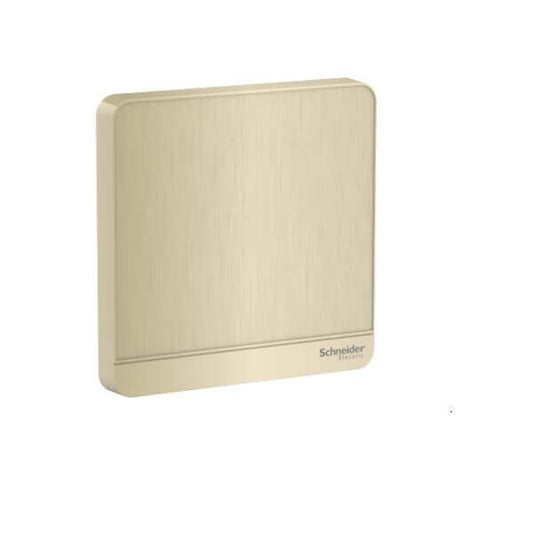 Schneider AvatarOn, blank plate, - DELIGHT OptoElectronics Pte. Ltd